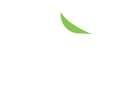 Nurvyn Logo